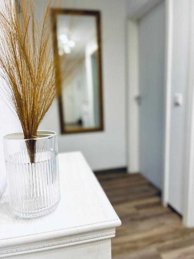 Modernes 3 Zimmer Apartment - Luise- Mit Wlan, Balkon Und Smart-Tv In City-Naehe! Erfurt Exterior foto